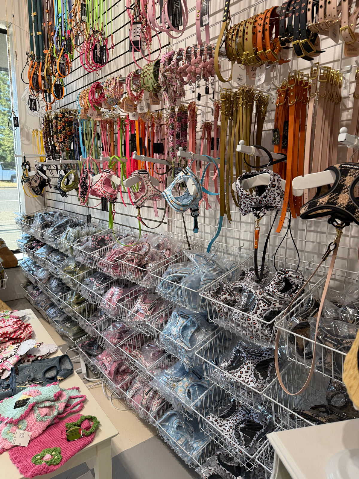 Pretty Little Things In Our Wine Country Dog Boutique