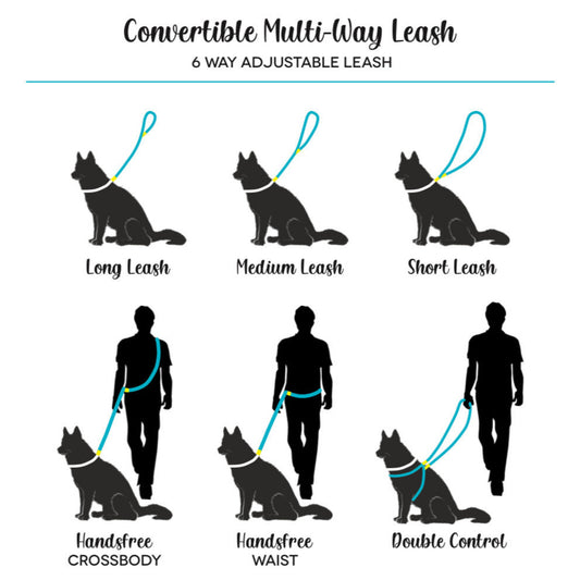 CONVERTIBLE LEASHES | HANDSFREE VERSATILITY | THE UPTOWN HOUND
