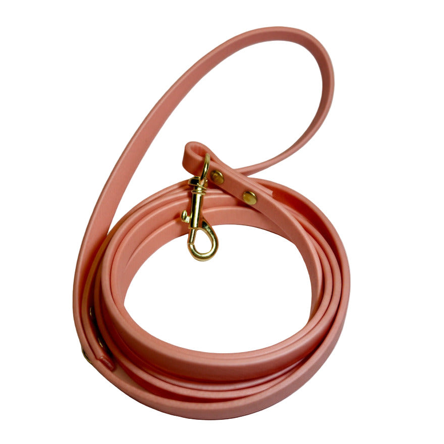 Traditional Leashes