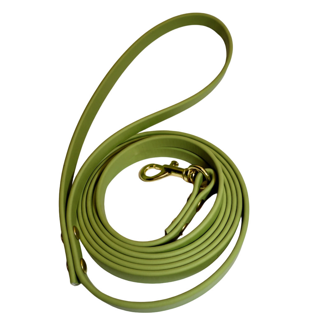 Traditional Leashes