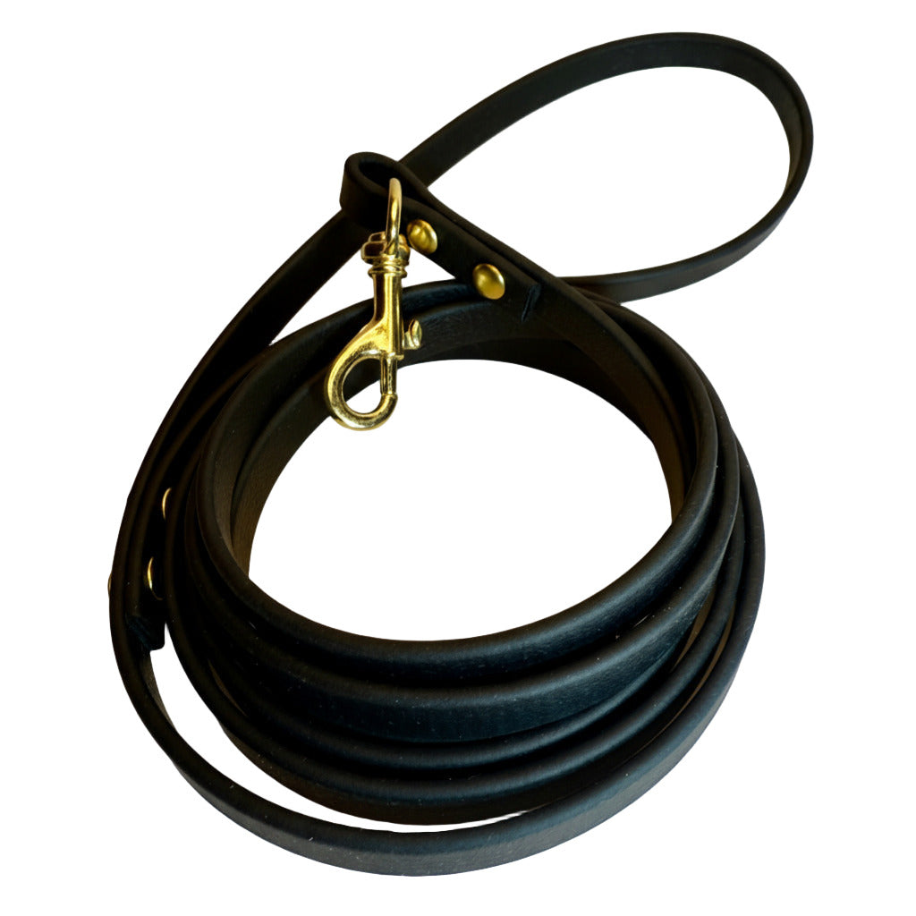 Black leather dog leash with brass clip on a white background