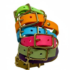 Buckle Dog Collars – 18 Colors | The Uptown Hound