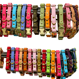 Click Collars Vibrant Colorful Secure Made By The Uptown Hound