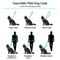 CONVERTIBLE LEASHES | HANDSFREE VERSATILITY  | THE UPTOWN HOUND