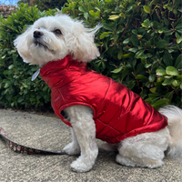 Metallic Puffer Vest Harness - Red