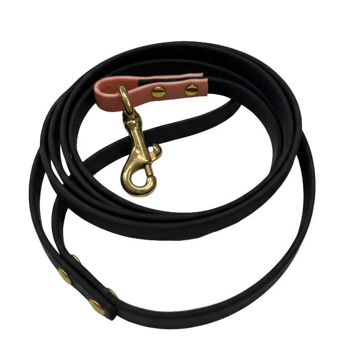Black leather dog leash with brass hook and pink leather handle on a white background