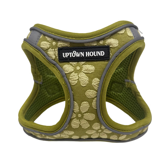 Avocado Vest Harness - Padded Neoprene | By Uptown Hound