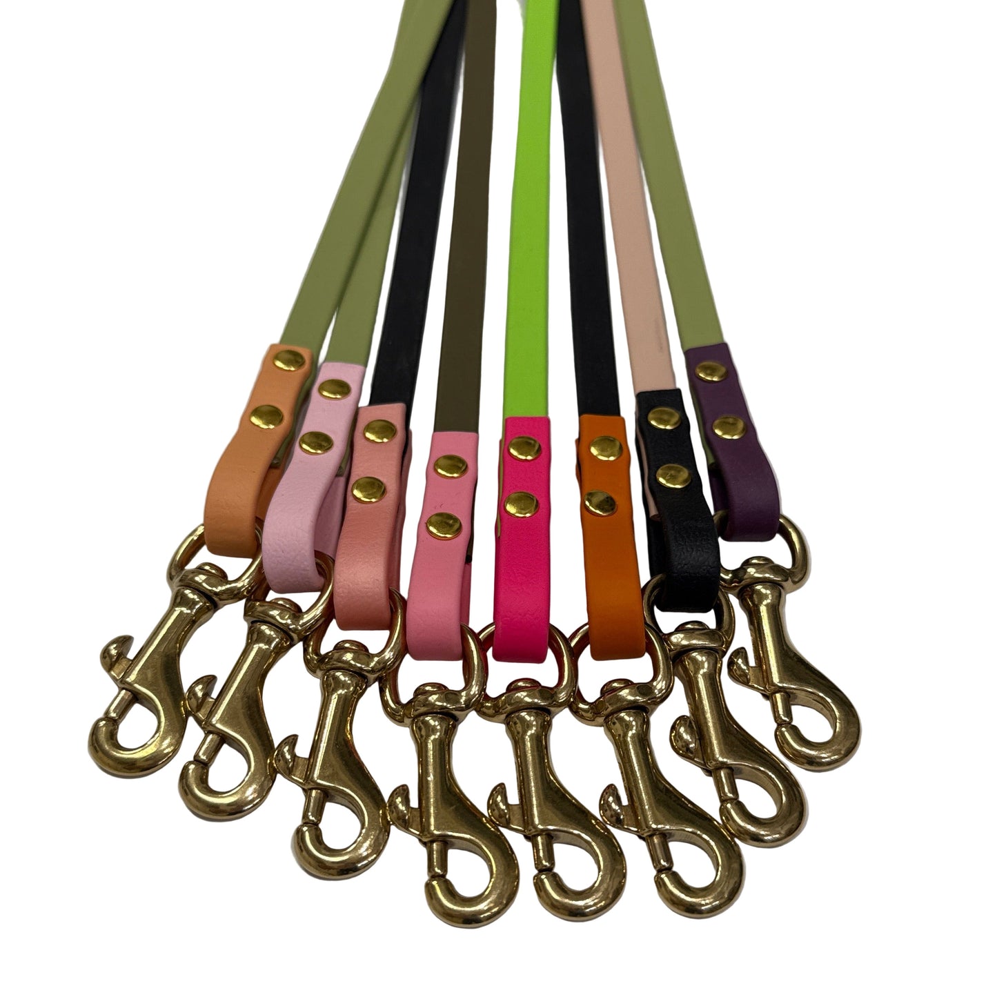 Set of colorful dog leashes with gold clasps on a white background