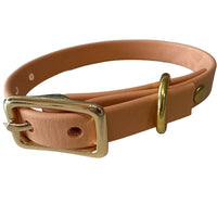 Buckle Dog Collars – 18 Colors | The Uptown Hound