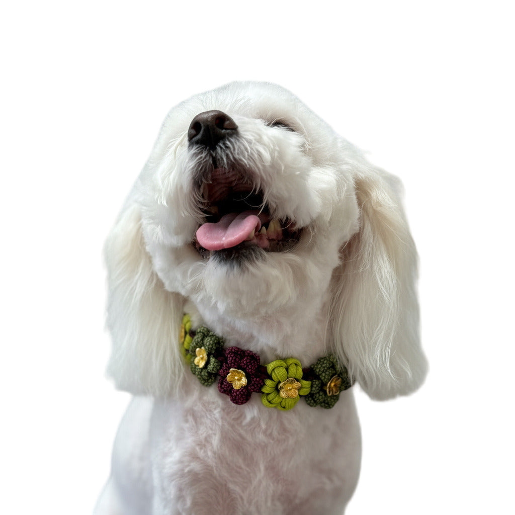 FLOWER COLLARS
