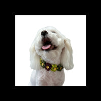 Flower Collars