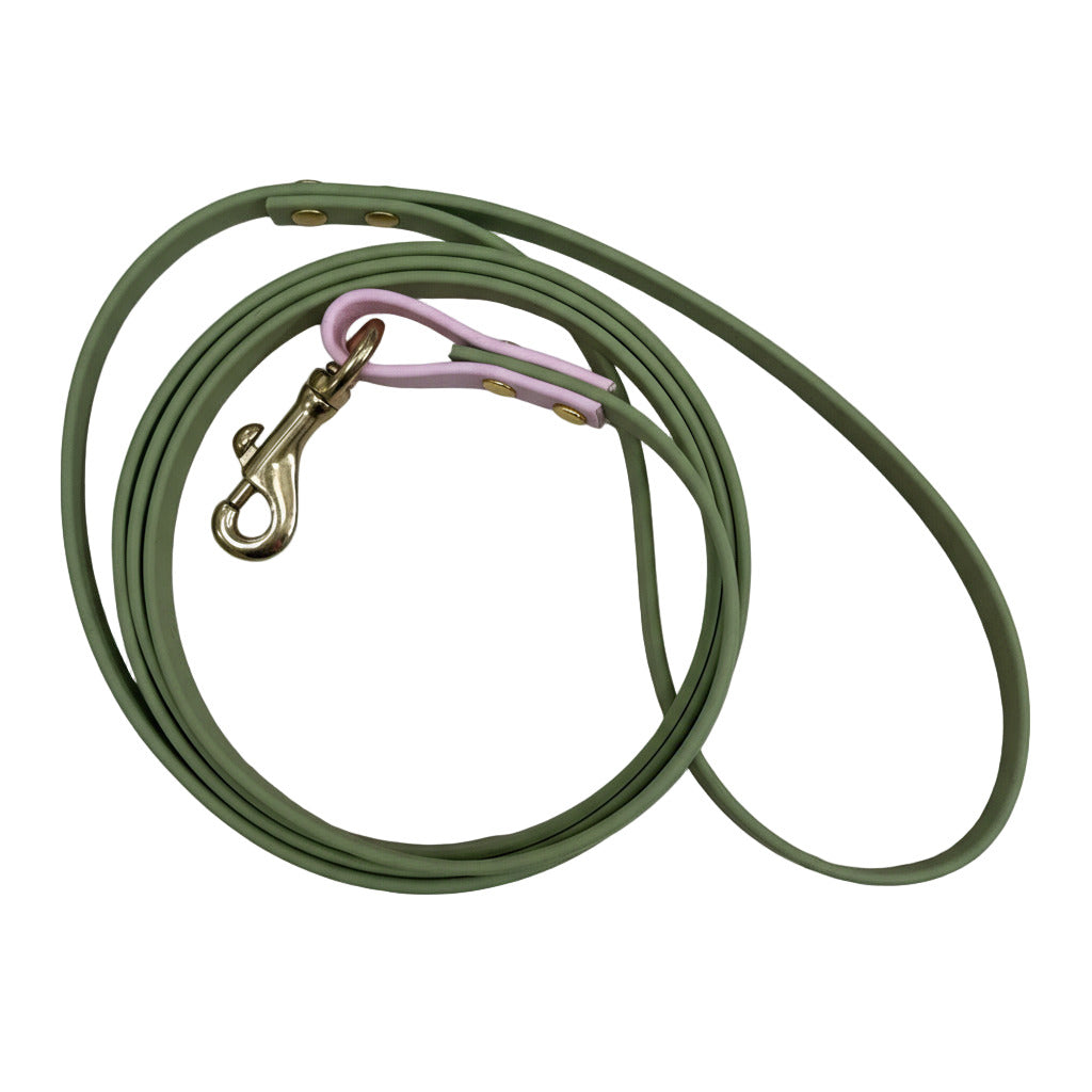 Green dog leash with pink clip on a white background