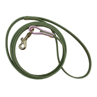Green dog leash with pink clip on a white background