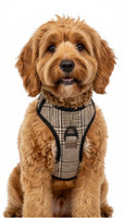 Metropolitan Plaid No-Pull Dog Harness Quality Padded Neoprene By Uptown Hound