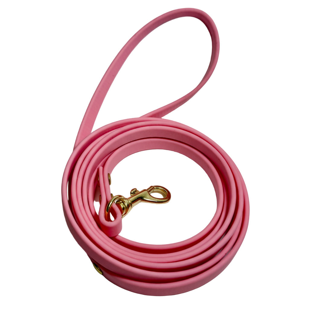 Traditional Leashes