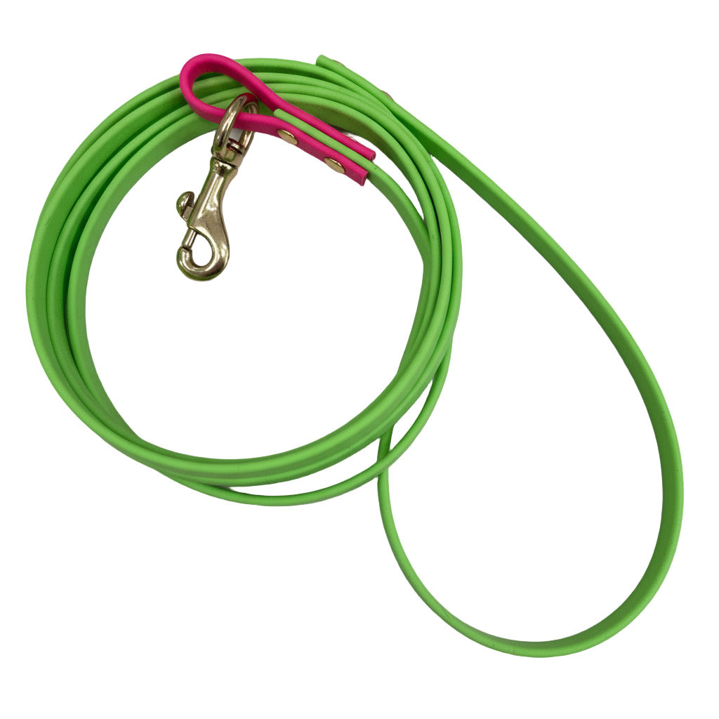 Green dog leash with pink handle and metal clip on a white background