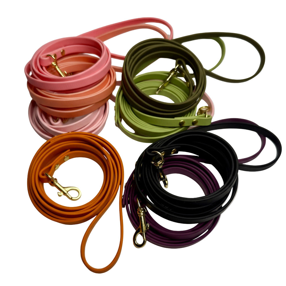 Traditional Leashes