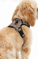Metropolitan Plaid No-Pull Dog Harness Quality Padded Neoprene By Uptown Hound