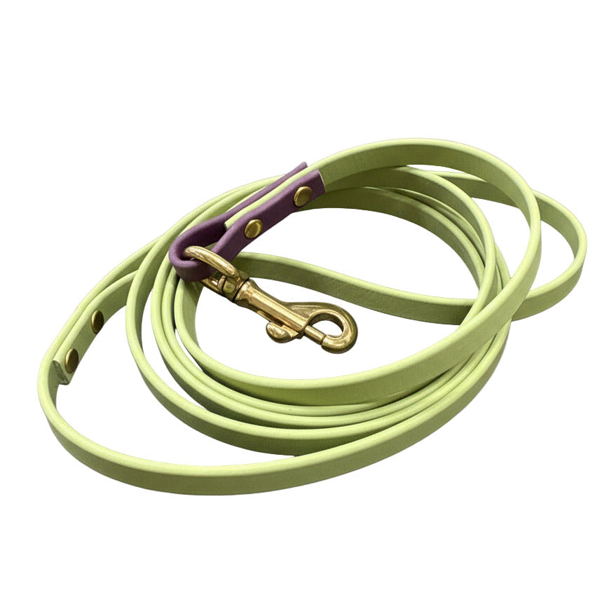 Green dog leash with purple handle and gold clasp on a dark surface