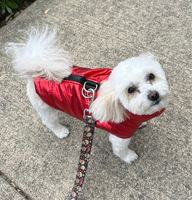 Metallic Puffer Vest Harness - Red