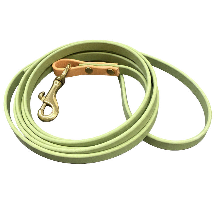 Light green dog leash with a metal clip on a white background