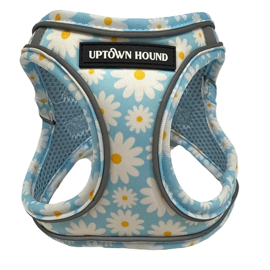 Blue Daisy Vest Harness - Padded Neoprene | By Uptown Hound