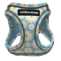 Blue Daisy Vest Harness Comfortable Padded Neoprene By Uptown Hound