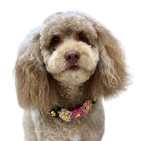 Flower Collars