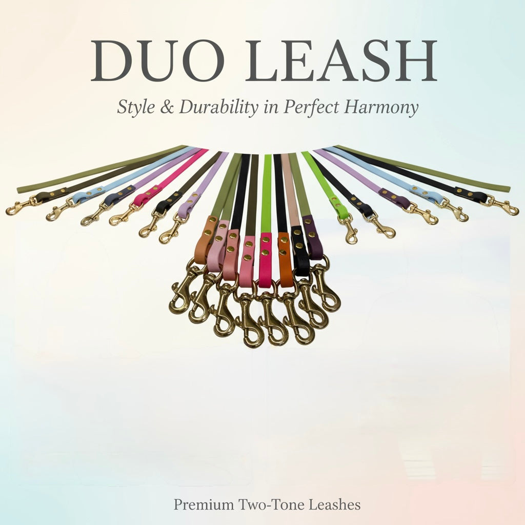 Duo color Leashes