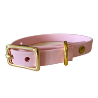 Buckle Dog Collars – 18 Colors | The Uptown Hound