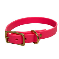 Pink dog collar with gold buckle on a white background