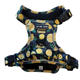 Amalfi Lemon No-Pull Dog Harness Comfortable Padded Neoprene By The Uptown Hound