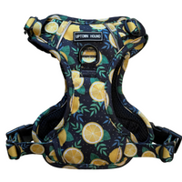Amalfi Lemon No-Pull Dog Harness Comfortable Padded Neoprene By The Uptown Hound