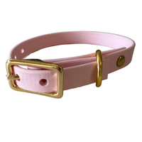 Buckle Dog Collars – 18 Colors | The Uptown Hound