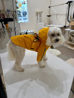 Hooded Waterproof Sports Style Raincoat Harness