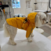 Hooded Waterproof Sports Style Raincoat Harness
