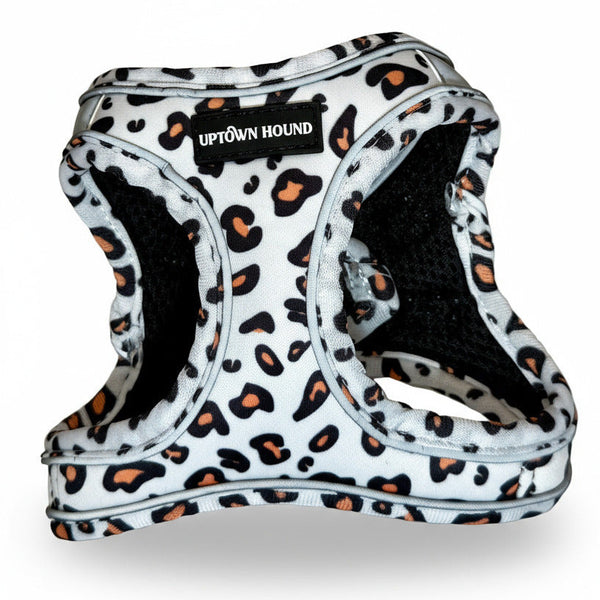 Leopard print dog harness with 'Uptown Hound' label on a light gray background