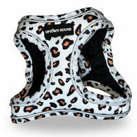 Leopard print dog harness with 'Uptown Hound' label on a light gray background