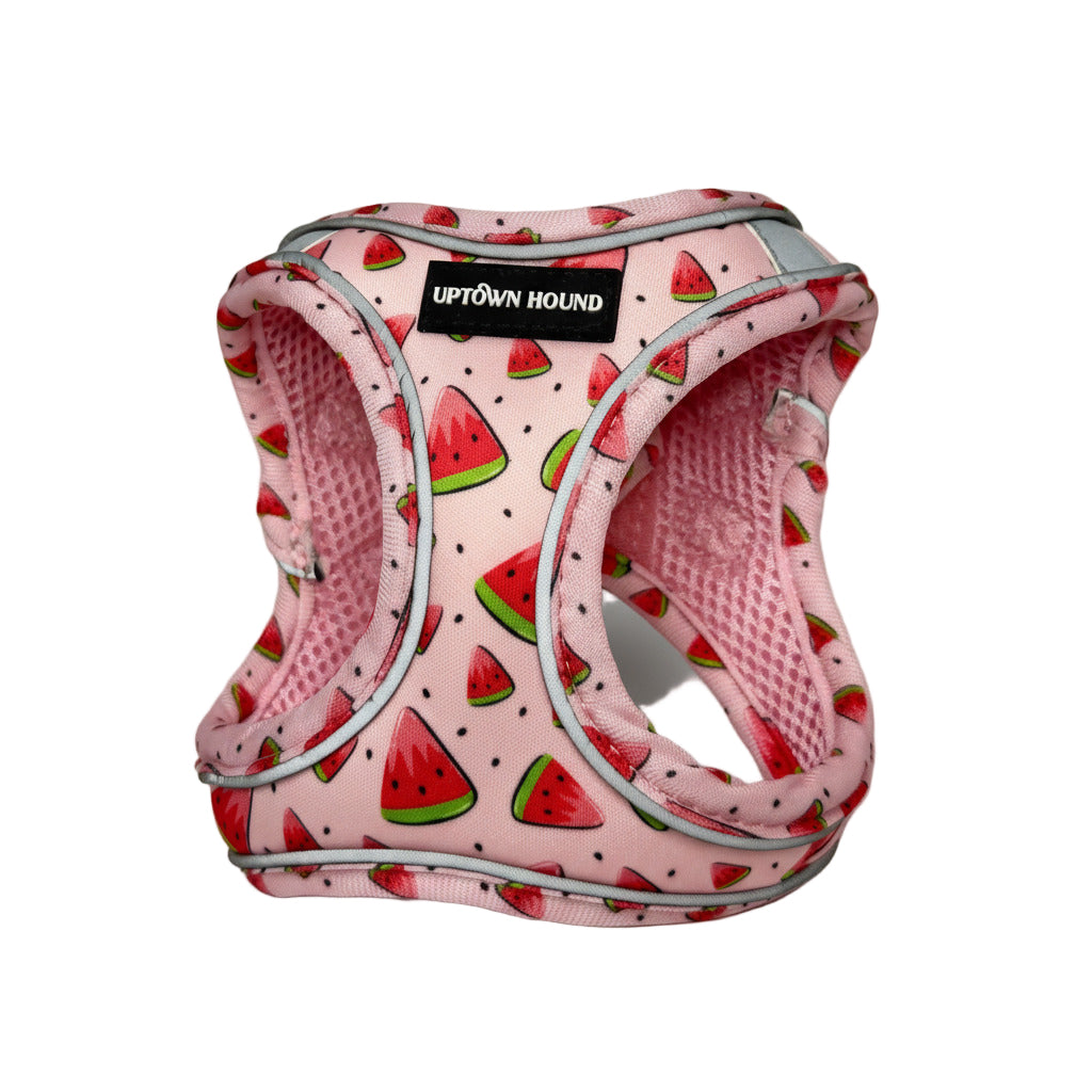 Pink dog harness with watermelon pattern and 'Uptown Hound' label on a white background