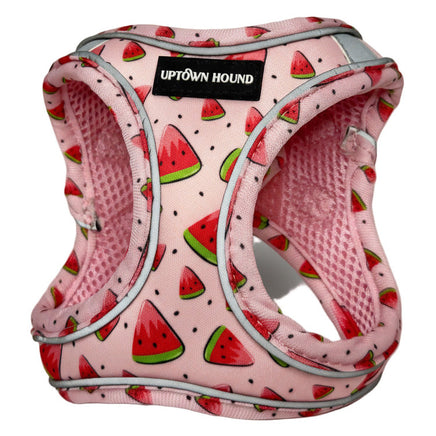 Pink dog harness with watermelon pattern and 'Uptown Hound' label on a white background