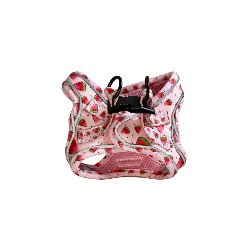 Pink dog harness with watermelon pattern on a white background