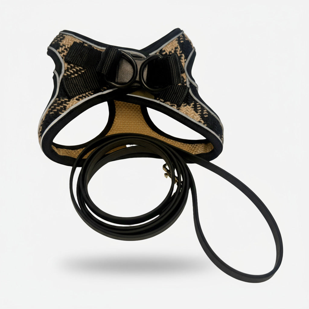 Dog harness and leash set on a white background