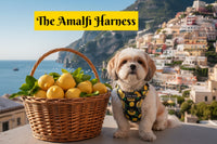 Amalfi Lemon No-Pull Dog Harness Comfortable Padded Neoprene By The Uptown Hound