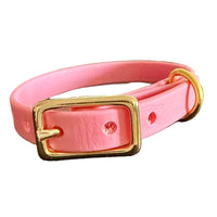 Buckle Dog Collars – 18 Colors | The Uptown Hound