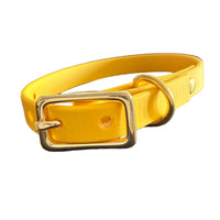 Buckle Dog Collars – 18 Colors | The Uptown Hound