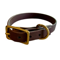 Buckle Dog Collars – 18 Colors | The Uptown Hound