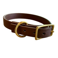 Buckle Dog Collars – 18 Colors | The Uptown Hound