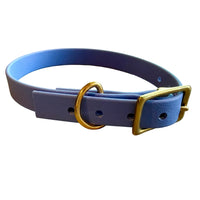 Buckle Dog Collars – 18 Colors | The Uptown Hound