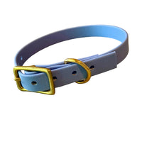 Buckle Dog Collars – 18 Colors | The Uptown Hound