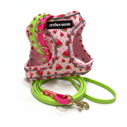 Watermelon Vest Harness - Padded Neoprene | By Uptown Hound